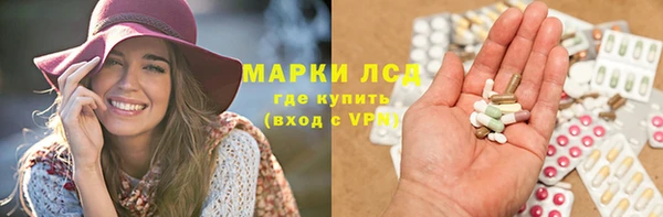 трава Арсеньев